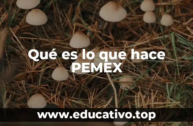 Qué es lo que hace PEMEX