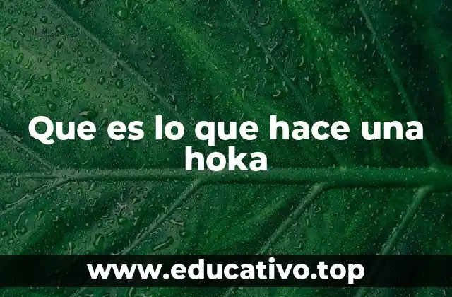Que es lo que hace una hoka