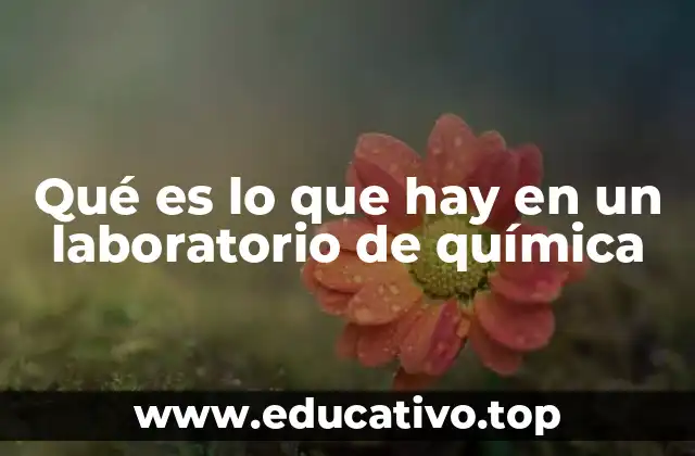 Qué es lo que hay en un laboratorio de química