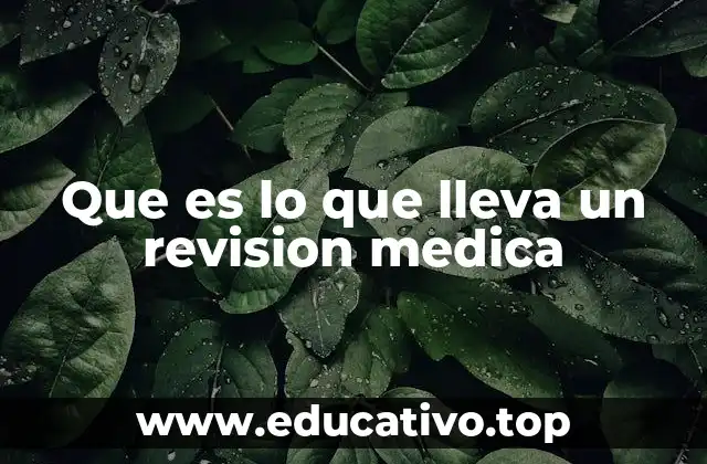 Que es lo que lleva un revision medica