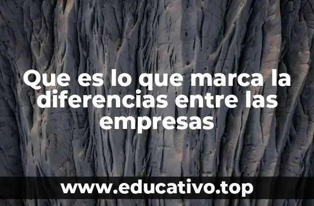 El impacto de la cultura organizacional en el éxito empresarial