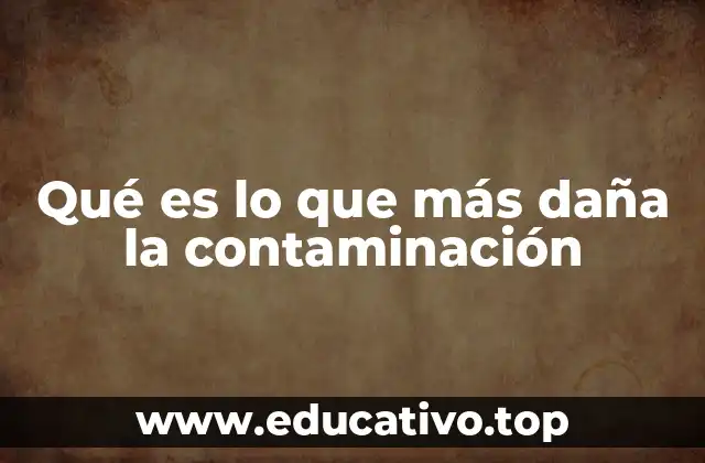 Los efectos más devastadores de la contaminación en el planeta