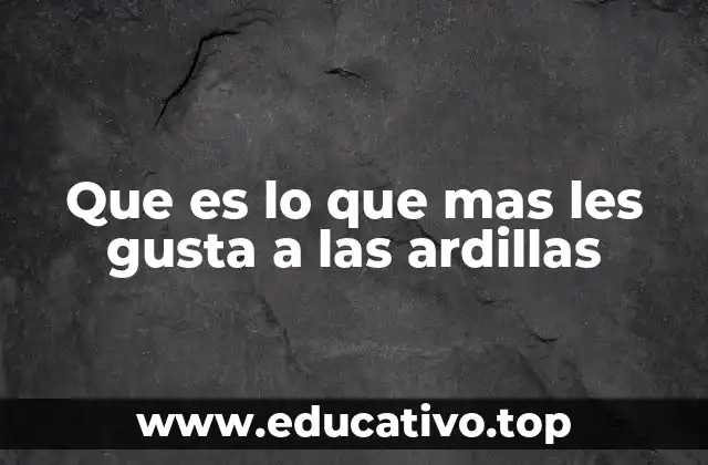 Hábitos y preferencias de las ardillas en su entorno natural