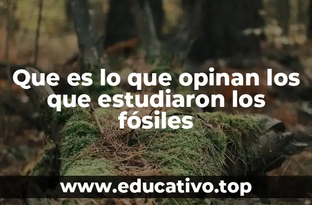 Que es lo que opinan los que estudiaron los fósiles