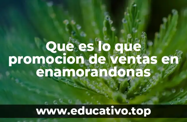 Que es lo que promocion de ventas en enamorandonas