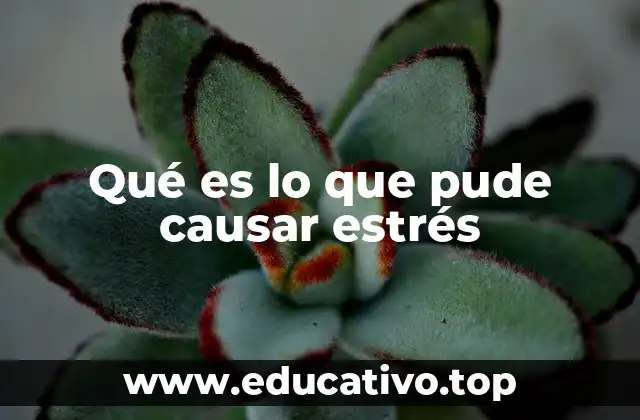 Qué es lo que pude causar estrés