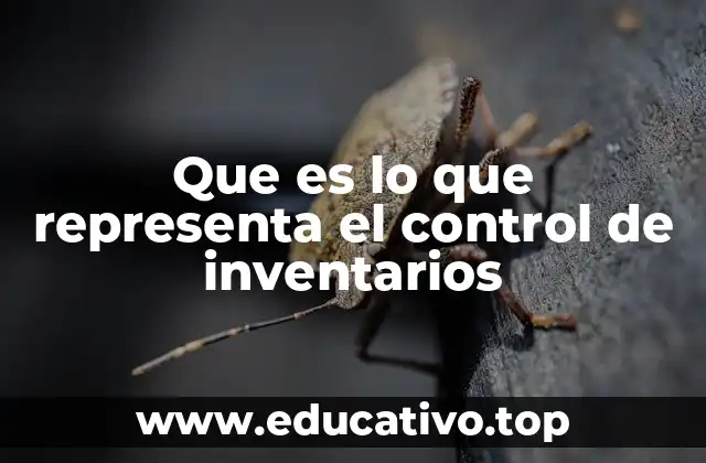 Que es lo que representa el control de inventarios