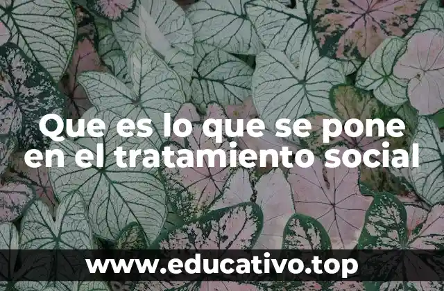 El proceso detrás de una intervención social