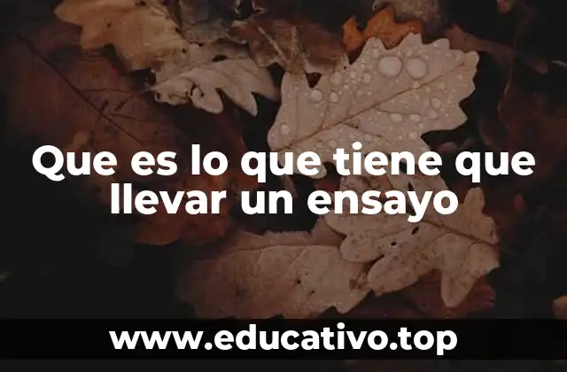 Que es lo que tiene que llevar un ensayo