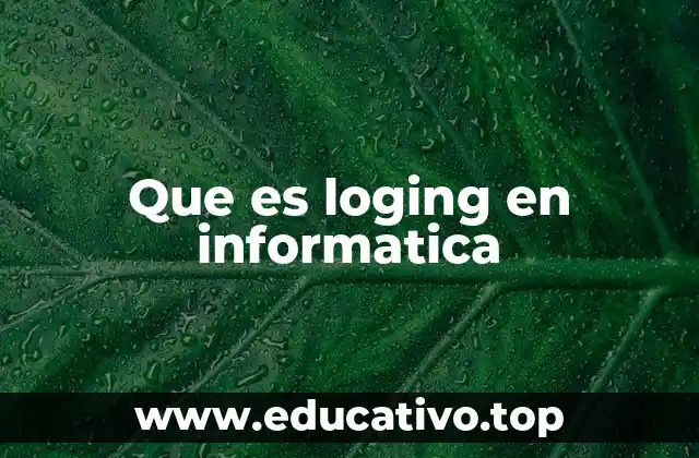 Que es loging en informatica