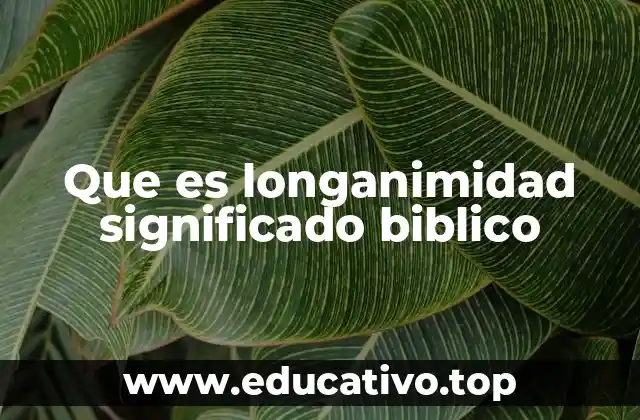 Que es longanimidad significado biblico
