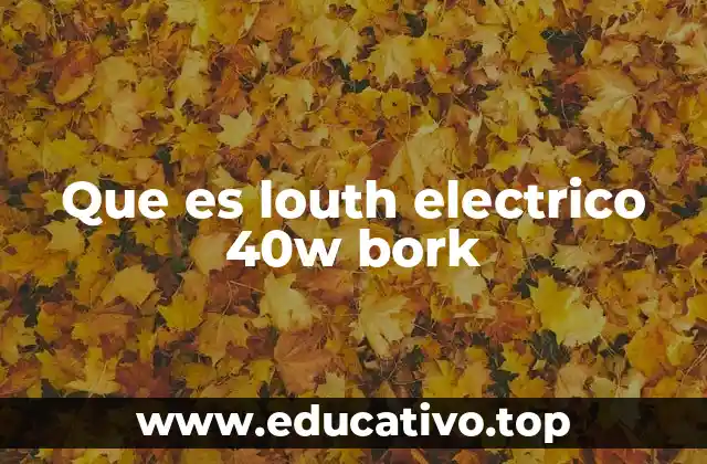 Que es louth electrico 40w bork