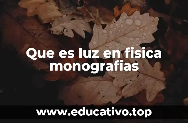 Que es luz en fisica monografias