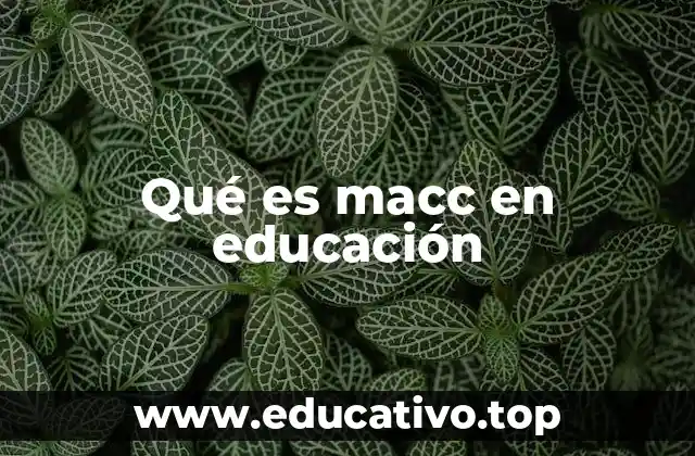 Qué es macc en educación