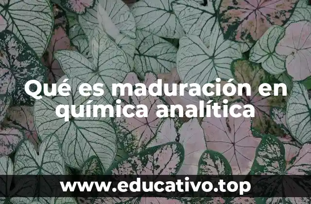 Qué es maduración en química analítica