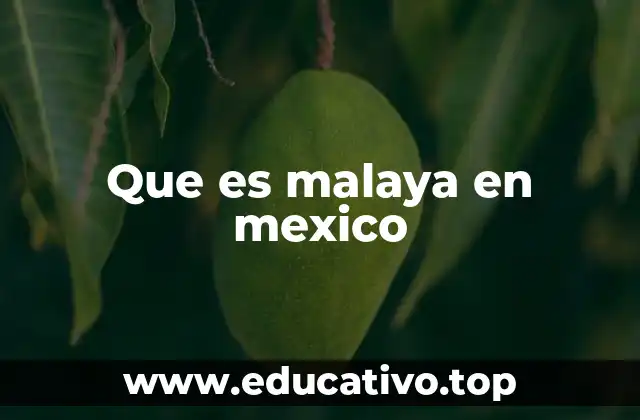 Que es malaya en mexico