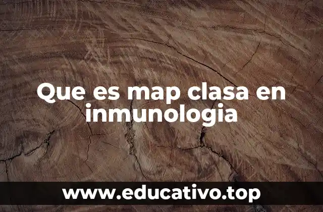 Que es map clasa en inmunologia