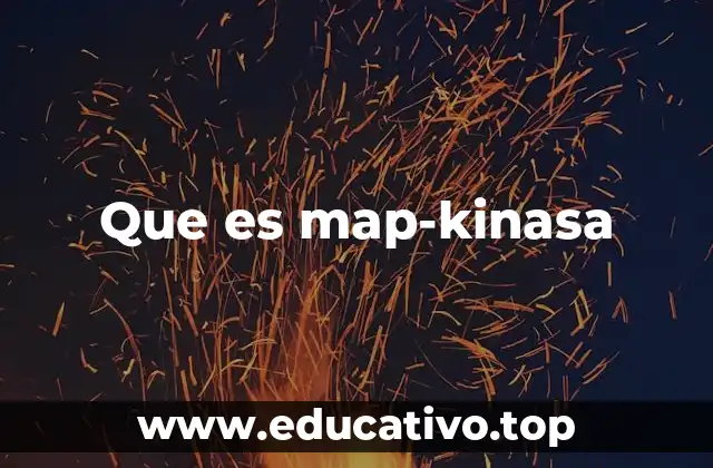 El papel de las MAP quinasas en la regulación celular