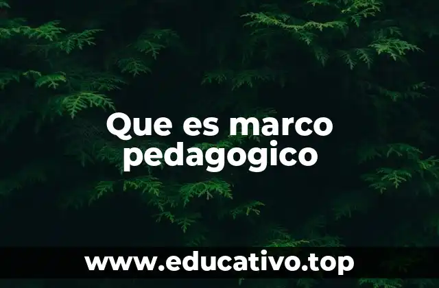 Que es marco pedagogico