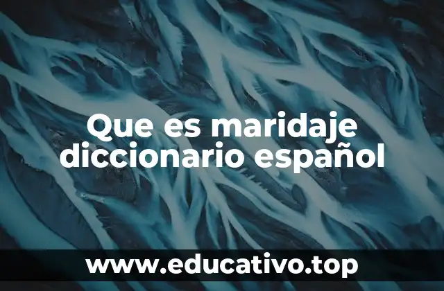 El maridaje como ciencia y arte en la cocina