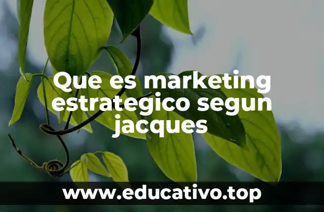 Que es marketing estrategico segun jacques