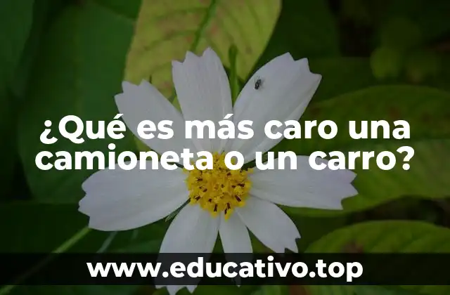 ¿Qué es más caro una camioneta o un carro?