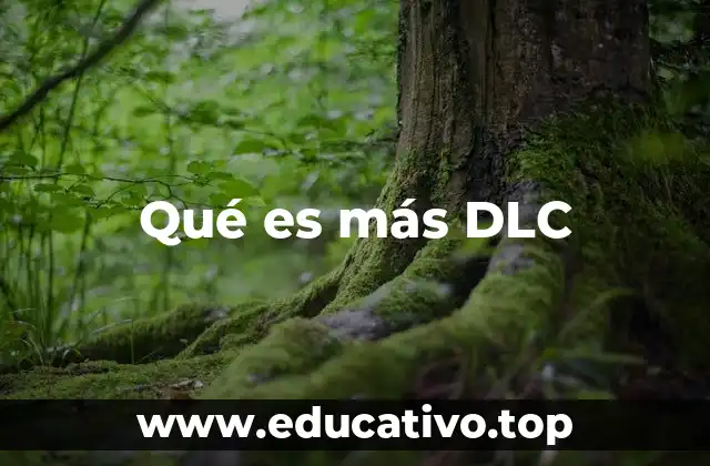 Qué es más DLC