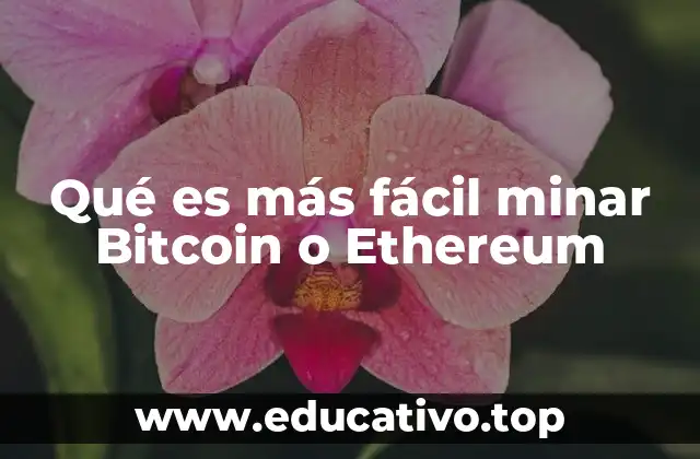 Qué es más fácil minar Bitcoin o Ethereum