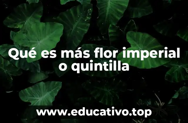 Qué es más flor imperial o quintilla
