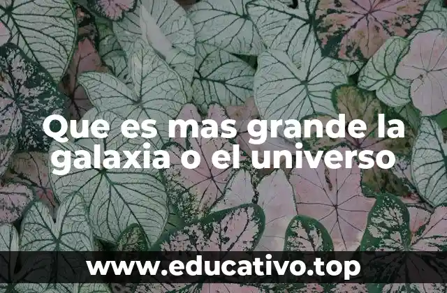 Que es mas grande la galaxia o el universo