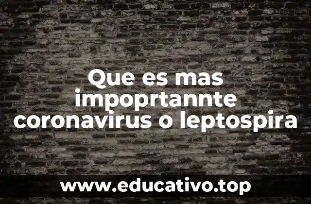 Que es mas impoprtannte coronavirus o leptospira