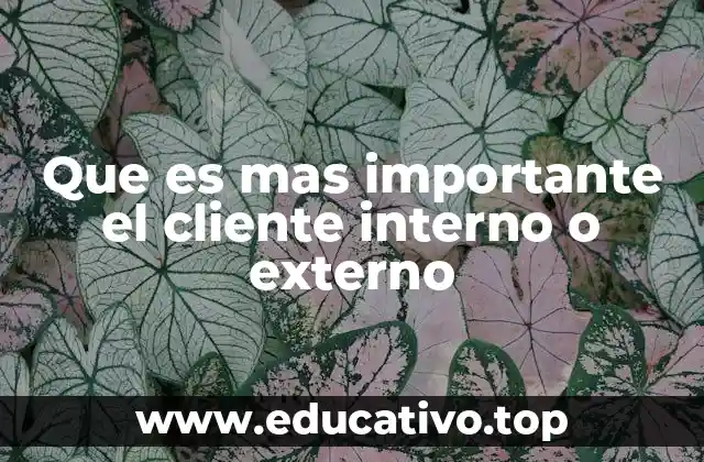 Que es mas importante el cliente interno o externo