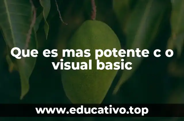 Que es mas potente c o visual basic