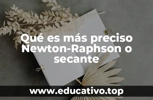 Qué es más preciso Newton-Raphson o secante