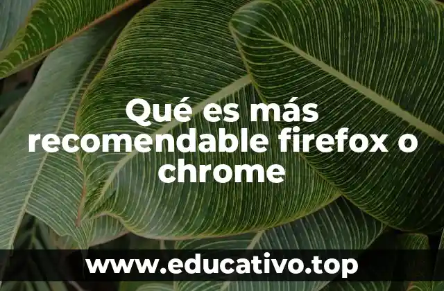 Qué es más recomendable firefox o chrome