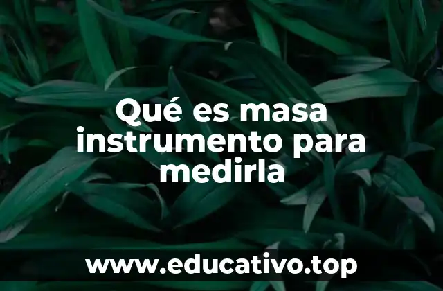 Qué es masa instrumento para medirla