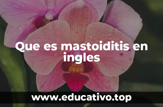 Que es mastoiditis en ingles