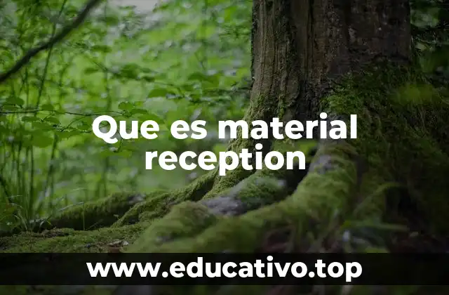 Que es material reception
