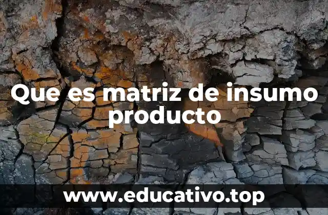 Que es matriz de insumo producto