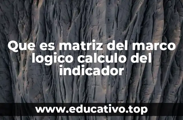 Que es matriz del marco logico calculo del indicador