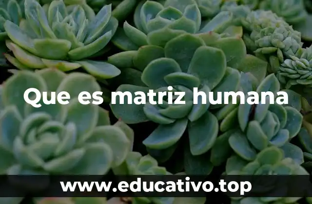 Que es matriz humana