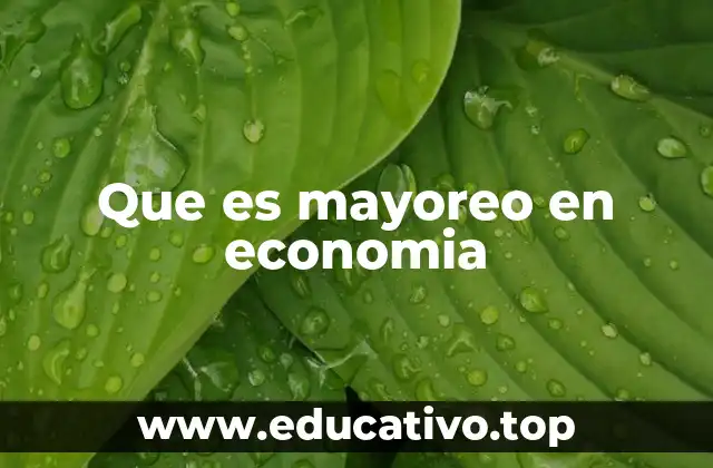 Que es mayoreo en economia