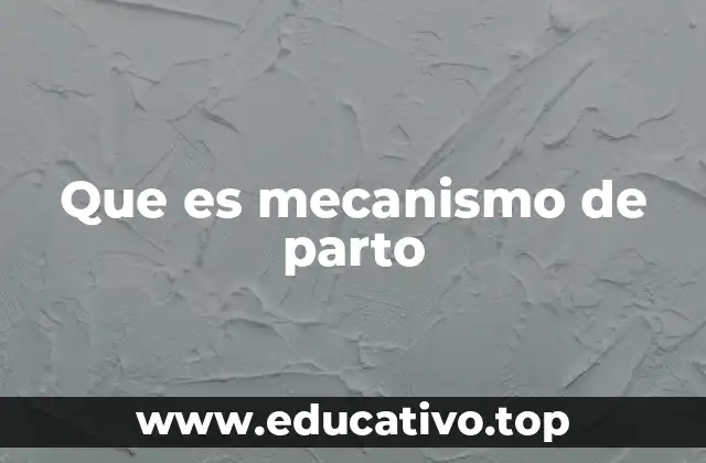 El proceso del nacimiento desde la perspectiva fisiológica