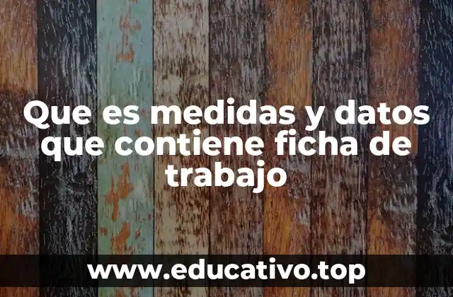 La importancia de organizar datos en una actividad laboral o educativa