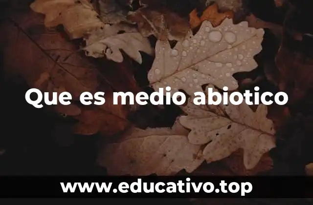Que es medio abiotico