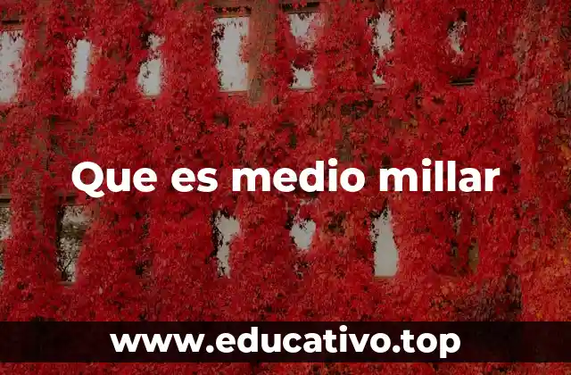 Que es medio millar