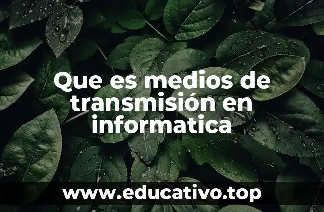 Tipos de medios de transmisión en la conectividad digital