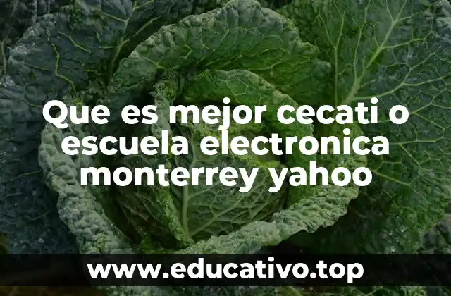 Que es mejor cecati o escuela electronica monterrey yahoo