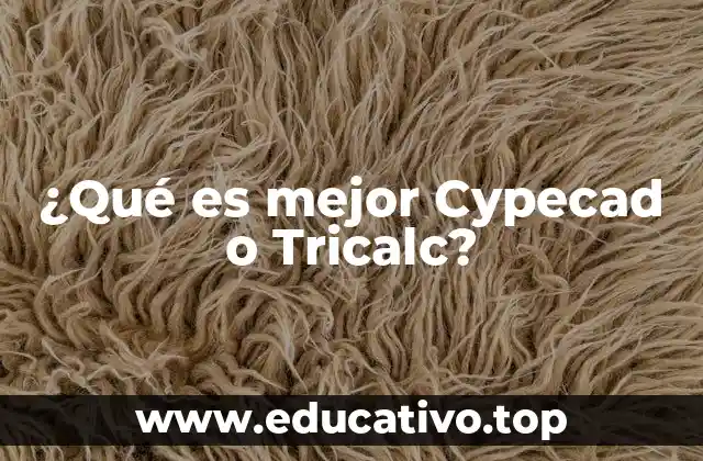 ¿Qué es mejor Cypecad o Tricalc?