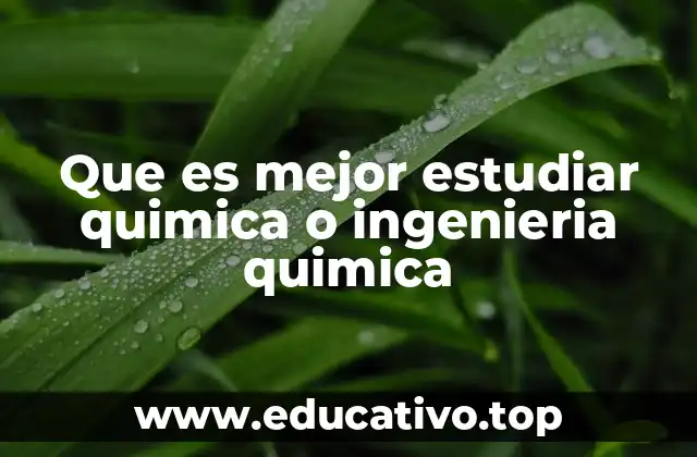Que es mejor estudiar quimica o ingenieria quimica